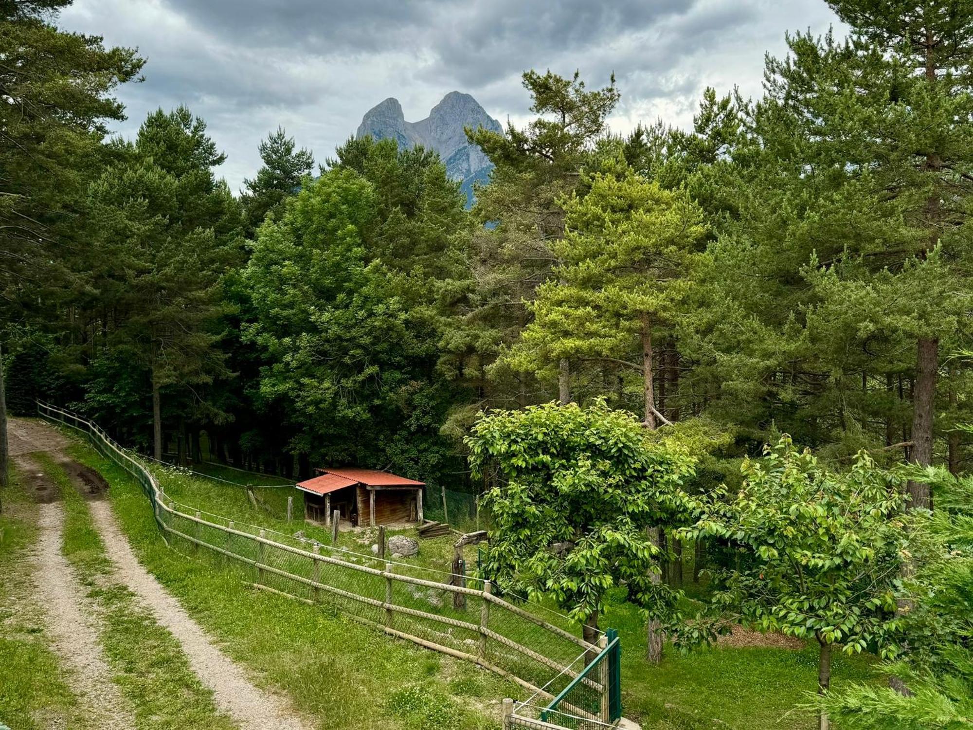 Cal Roig - Pedraforca Villa ซัลเดส ภายนอก รูปภาพ